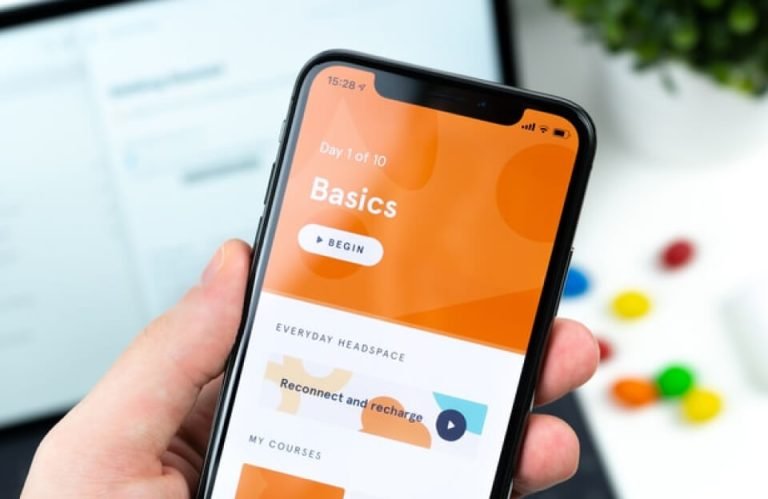 Mini-Marques: E-commerce Business Model for 2026